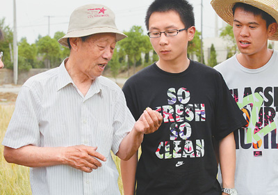 一辈子和小麦增产绑在一起—记安徽农业大学教授胡承霖