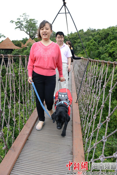 导盲犬"珍尼"带着主人游亚龙湾热带天堂