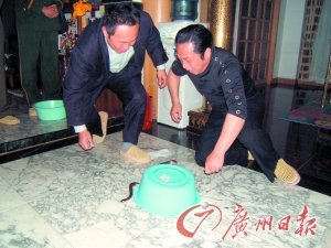 中科院院士稱王林無氣功 魔術(shù)師揭江湖雜耍真相