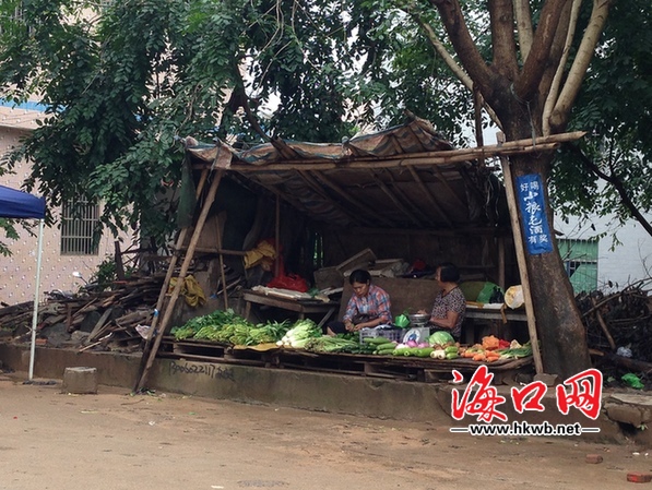 海口水头村的环境"脏乱差" 村民自我感觉脸上无光