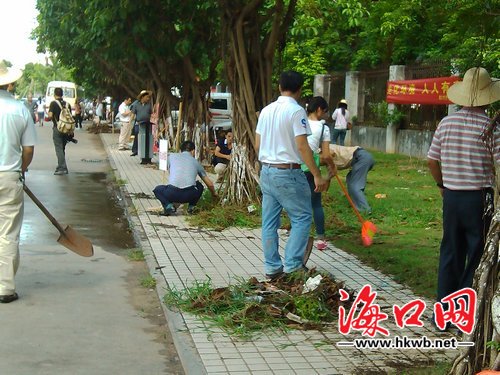 机关人员在海运路上义务劳动