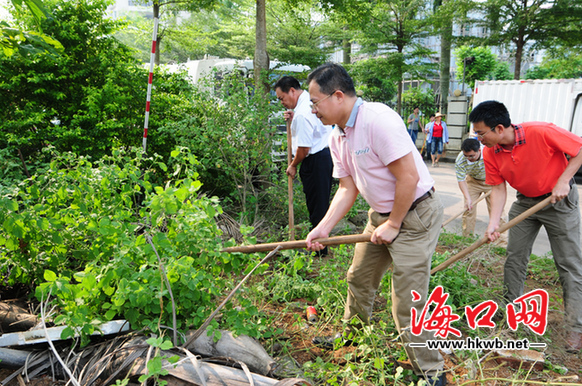 海口市組織300多在三葉東路開展愛國衛(wèi)生義務(wù)勞動(dòng)。