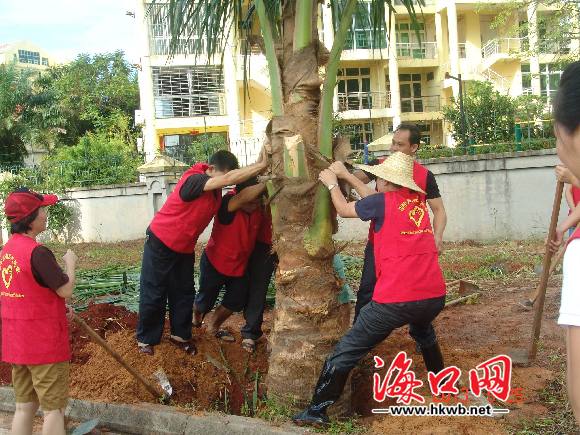 植樹現(xiàn)場(chǎng)