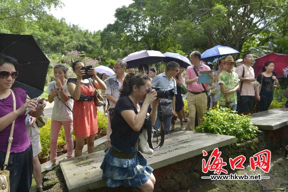 25日上午火山口迎來(lái)一批游客