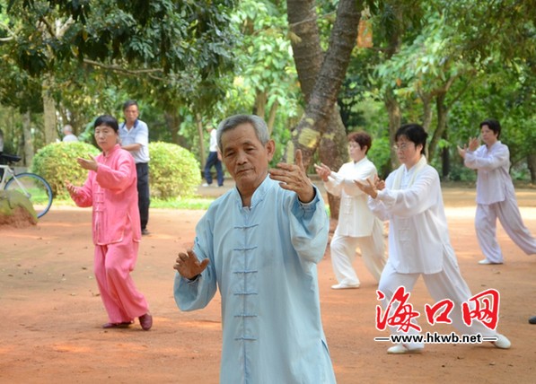 老年人在公園里打太極