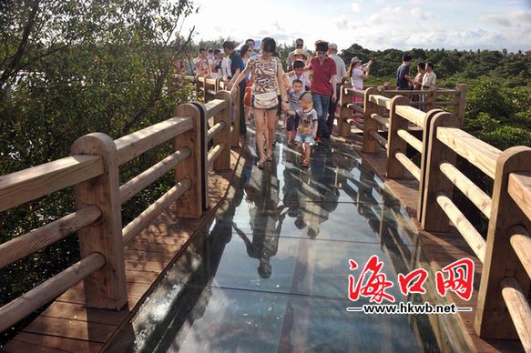 月3日海口下着大雨，红树林乡村旅游区仍然游客络绎不绝