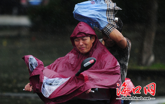 雨中互相遮風擋雨溫馨的一幕幕.1