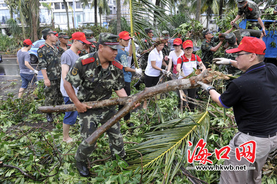 20日下午，大批青年志愿者和武警部隊(duì)官兵在濱海大道清理大風(fēng)折斷樹枝。