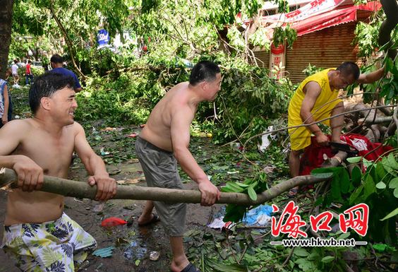 濱海新村居民自發(fā)組織清理門前、街道上被臺風(fēng)吹倒的樹木。