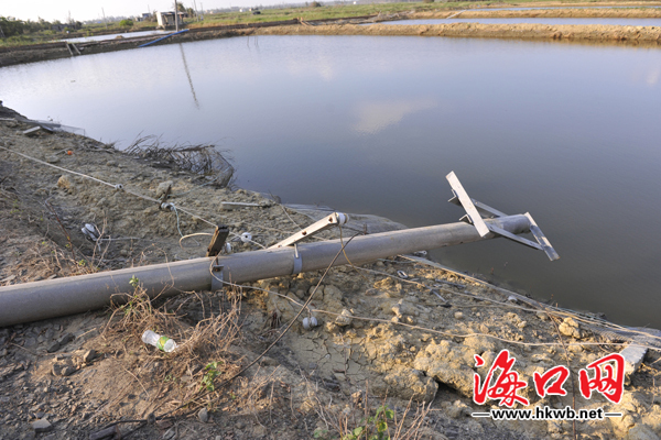 倒塌的電線桿仍橫在防潮提上