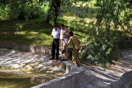 印度男子動物園被老虎咬死前求饒（組圖）