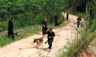 9月26日，廣西靈山，干警帶著警犬在搜尋犯罪嫌疑人。