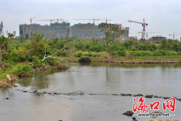 沙坡水庫—白水塘森林濕地公園開工建設(shè)