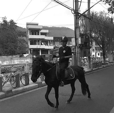 男子大半夜酒后騎黑馬逆行 被寶馬撞飛(圖)