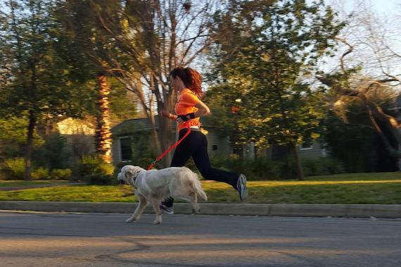 美女驯狗师竟是跑步大神 周跑50英里首选"能跑"