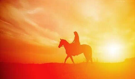 马匹最重感情 人类真心相待才能让马儿勇往直前