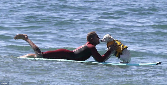 一个男人和他的小狗在周六的冲浪比赛中等待着波浪。“Pawticipants”能冲浪12分钟。