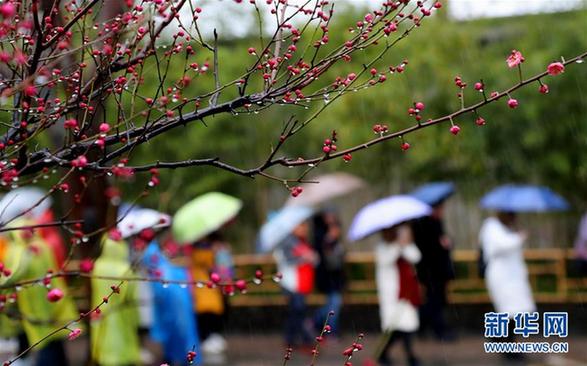 #（社會）（3）雨水潤花開