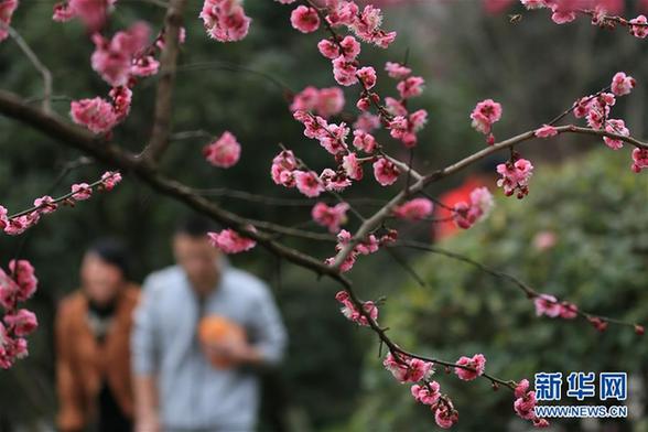 #（環(huán)境）（2）春暖花開