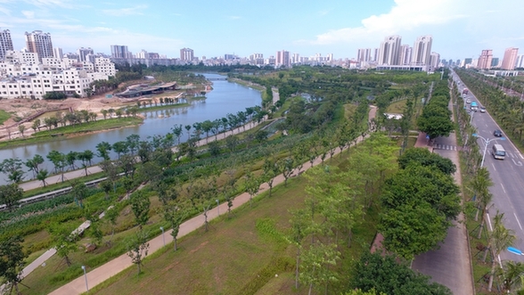 【新時代·幸福美麗新邊疆】海口美舍河鳳翔濕地公園：把“梯田”搬到市民家門口