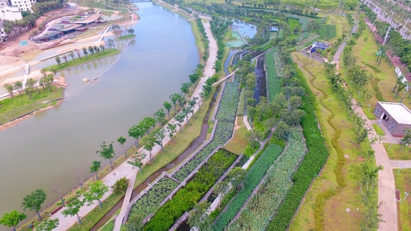 【新時(shí)代·幸福美麗新邊疆】?？诿郎岷峪P翔濕地公園：把“梯田”搬到市民家門口