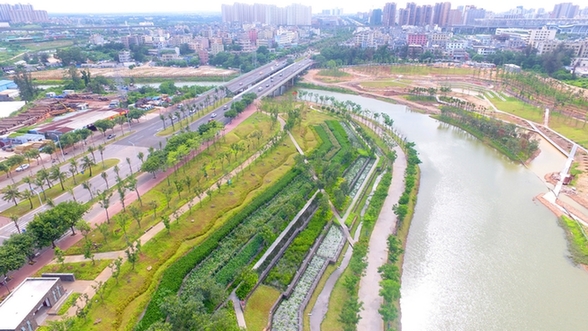 【新時(shí)代·幸福美麗新邊疆】海口美舍河鳳翔濕地公園：把“梯田”搬到市民家門口