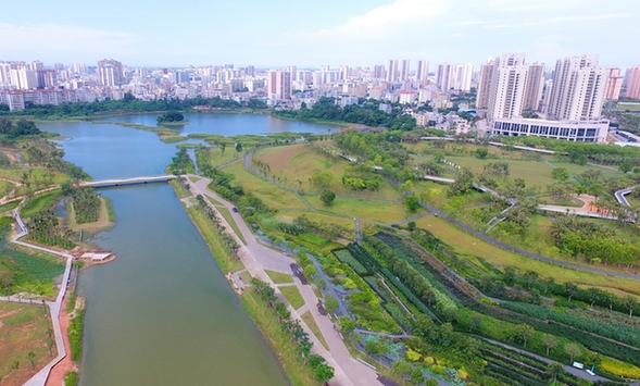 【新時(shí)代·幸福美麗新邊疆】海口美舍河鳳翔濕地公園：把“梯田”搬到市民家門口