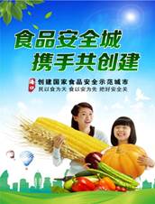 说明: 《共建安全城》