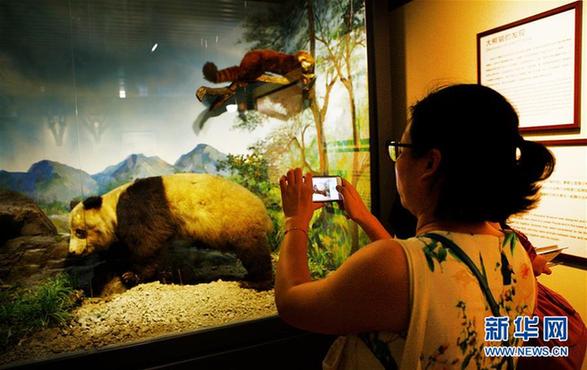 （文化）（2）三馆联袂 上海博物溯源特展开幕