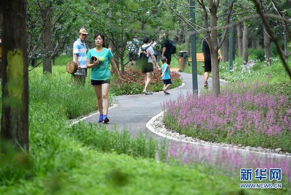 （社會(huì)）（1）北京東城區(qū)第一處城市森林公園建成開(kāi)放