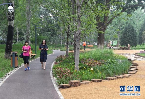 （社會）（3）北京東城區(qū)第一處城市森林公園建成開放