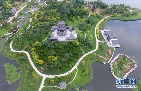 （环境）（2）废弃污水坑塘变身“城市绿肺”