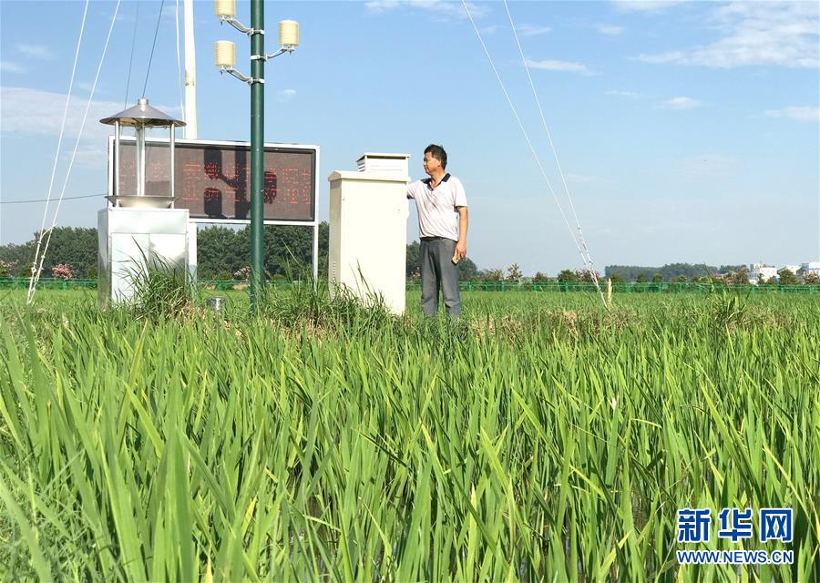 （新華全媒頭條·圖文互動）（4）最年輕的節(jié)日 最悠久的牽念——寫給首個中國農民豐收節(jié)