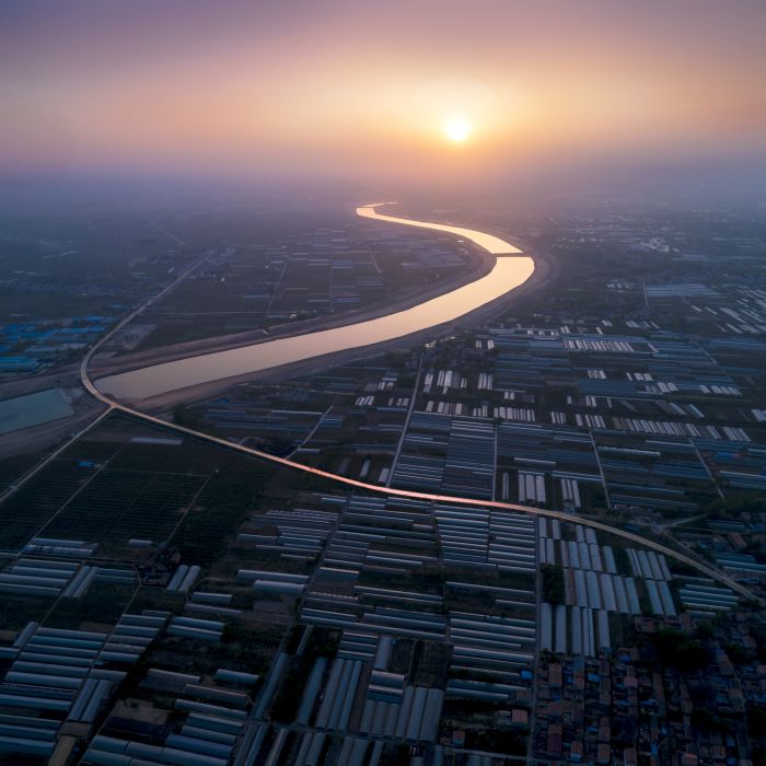 《砀山黄河故道上的X001县道 》王岩