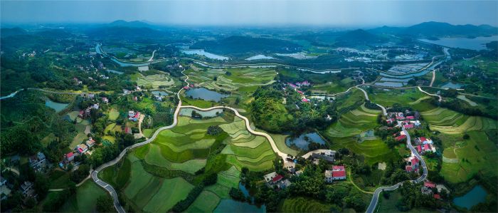 《美丽乡村致富路》徐锋