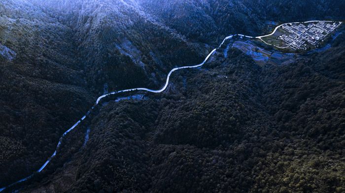 《出路》胡学东