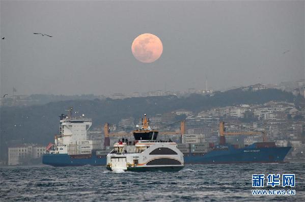 （国际）（2）土耳其伊斯坦布尔2018年对污染海域船只罚金创纪录