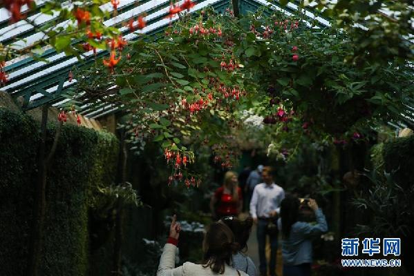 （國(guó)際·北京世園會(huì)）（3）世界園林巡禮——比利時(shí)皇家溫室