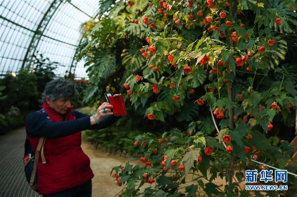 （國(guó)際·北京世園會(huì)）（8）世界園林巡禮——比利時(shí)皇家溫室