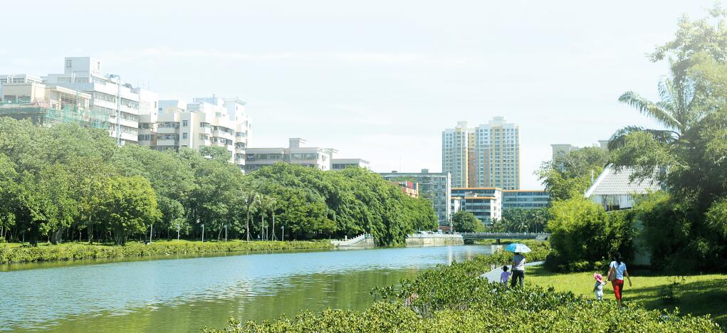  种下绿色生态种 海口遍开文明花