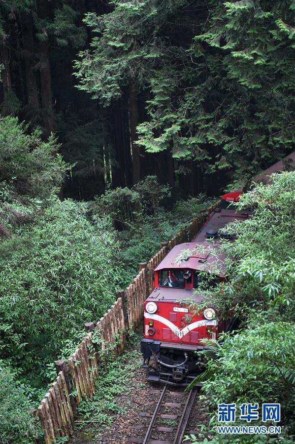 （社会）（2）阿里山森林小火车