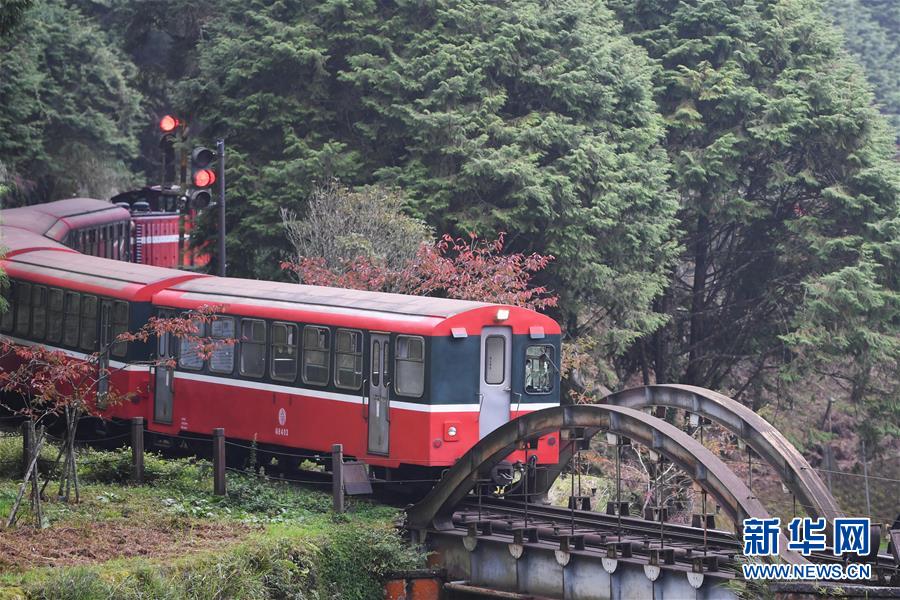 （社会）（4）阿里山森林小火车
