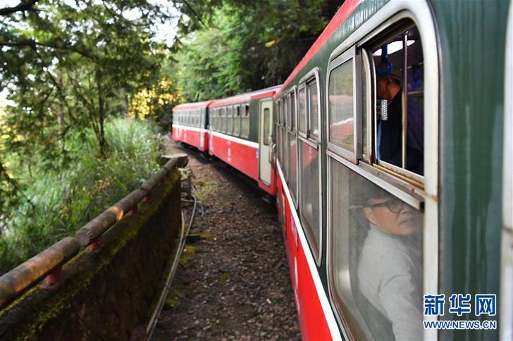 （社会）（5）阿里山森林小火车