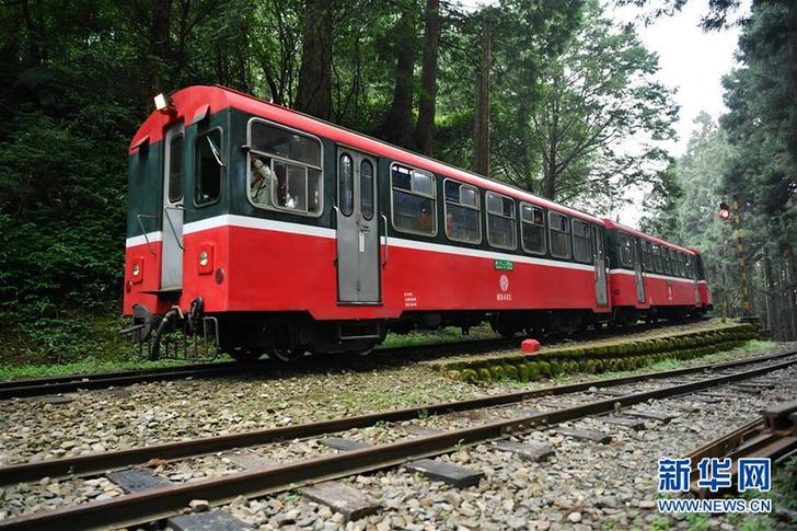 （社会）（7）阿里山森林小火车