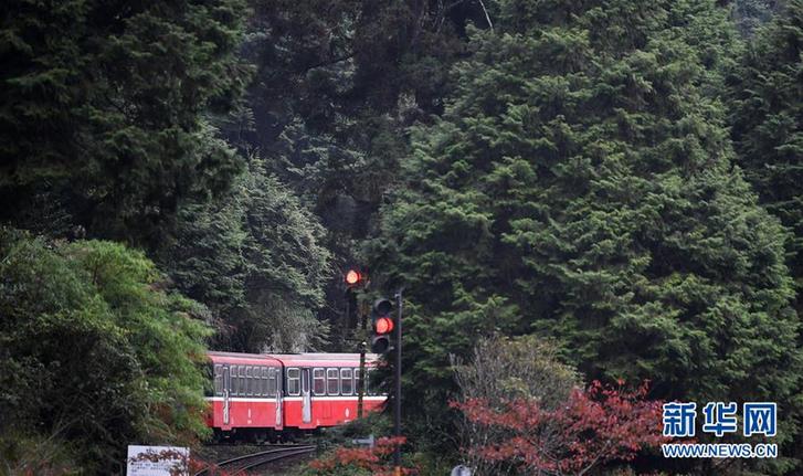 （社会）（8）阿里山森林小火车