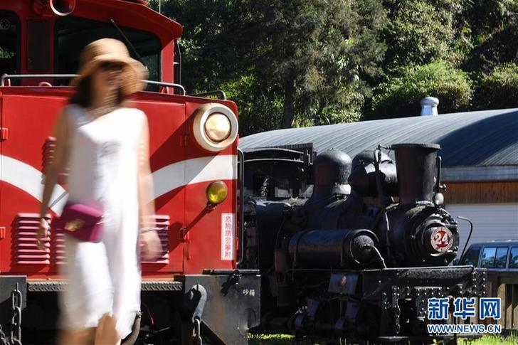 （社会）（9）阿里山森林小火车