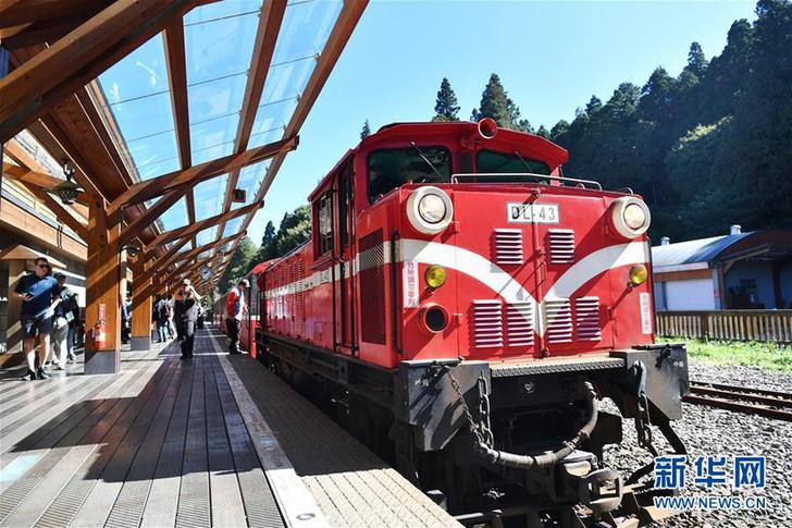 (社会)(10)阿里山森林小火车