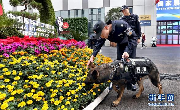 （第二届进博会）（1）警犬助力进博会保障工作
