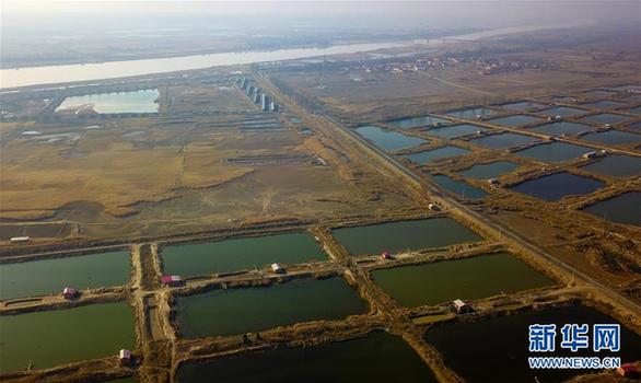 （环境）（6）内蒙古托克托县：黄河两岸秋色美