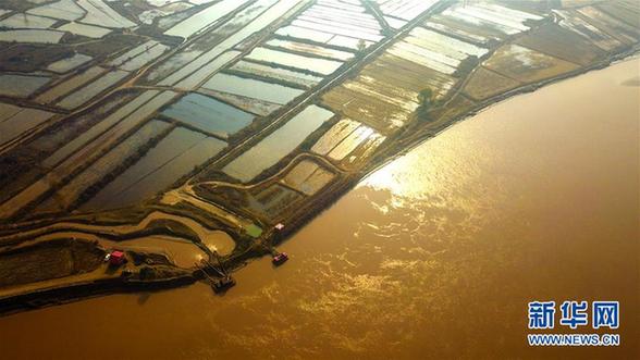 （环境）（7）内蒙古托克托县：黄河两岸秋色美